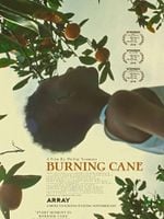 Pôster de Burning Cane