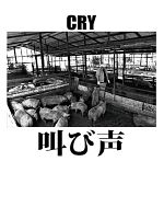 Pôster de Cry