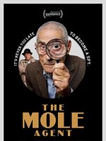 Pôster de Agente Duplo