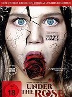 Pôster de O Enigma da Rosa