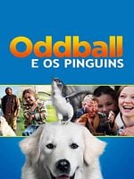 Pôster de Oddball e os Pinguins