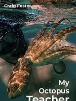 Pôster de Professor Polvo