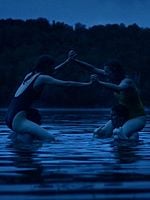 Pôster de Violation