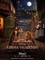 Pôster de A Dama e o Vagabundo