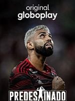 imagem de Predestinado