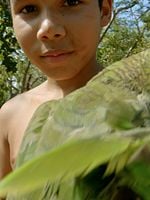 Pôster de Pantanal, a Boa Inocência de Nossas Origens