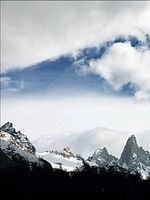 Pôster de Em Busca do Bem-Estar