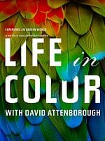 imagem de A Vida em Cores com David Attenborough