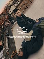 imagem de Flatbush Misdemeanors