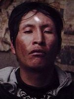 Pôster de El Gran Movimiento