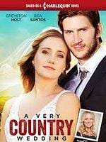 Pôster de Meu Noivo é uma Celebridade