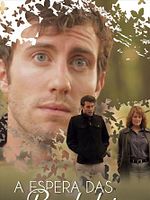 Pôster de A Espera das Borboletas