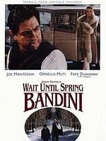 Pôster de Vivendo na América