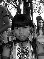 Pôster de De Onde Viemos, Para Onde Vamos