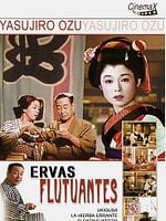 Pôster de Ervas Flutuantes