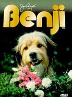 Pôster de Benji