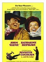 Pôster de Justiceiro Implacável