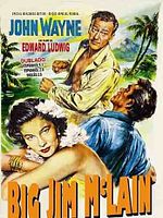 Pôster de Uma Aventura Perigosa