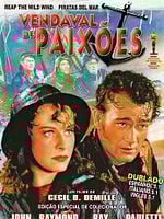 Pôster de Vendaval de Paixões