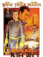 Pôster de Comando Negro