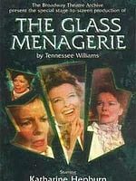 Pôster de The Glass Menagerie