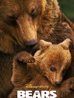 Pôster de Ursos
