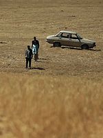 Pôster de Houses With Small Windows
