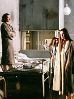 Pôster de Dia dos Idiotas