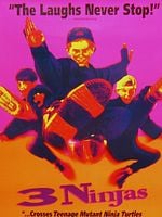 Pôster de 3 Ninjas