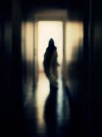 Pôster de A Serpente que Dança