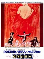 Pôster de Em Busca de um Sonho