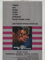 Pôster de A Vida Íntima de um Político