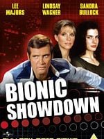 Pôster de O Desafio Final