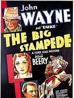 Pôster de A Grande Estirada