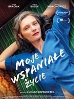 Pôster de Minha Vida Perfeita