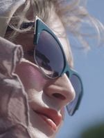 Pôster de Framing Agnes