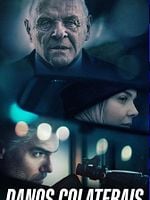 Pôster de Danos Colaterais