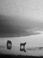 Pôster de Geographies Of Solitude