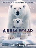 Pôster de A Ursa Polar
