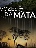 Pôster de Vozes da Mata