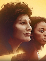 Pôster de Inestimável