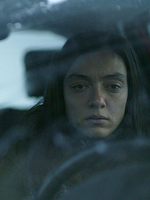 Pôster de Snow and the Bear