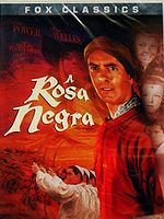 Pôster de A Rosa Negra