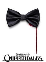 Pôster de Bem-vindos ao Clube da Sedução