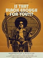 Pôster de A História do Cinema Negro nos EUA