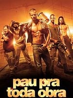 Pôster de Pau pra Toda Obra