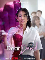 Pôster de Querido David