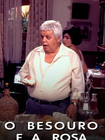Pôster de Caso Especial - O Besouro E A Rosa
