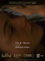 Pôster de Palm Trees and Power Lines