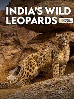 Pôster de India's Wild Leopards